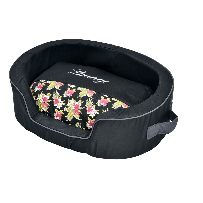 Vare